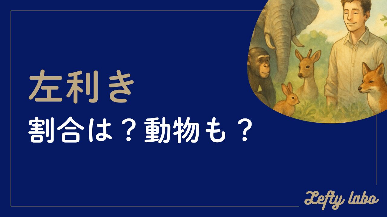 右利きと左利きの割合はどのぐらい？動物も？決まる仕組みを徹底紹介