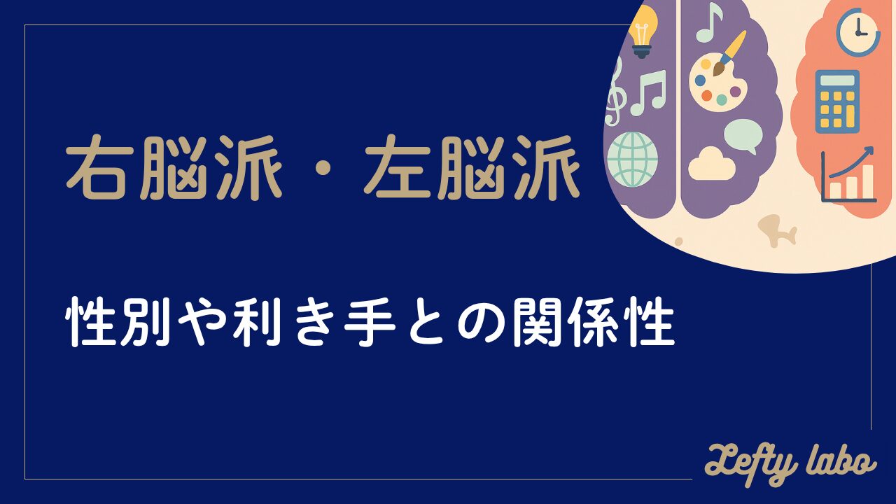 右脳派と左脳派はどっちが多いのか？性別や利き手との関係性にも迫る
