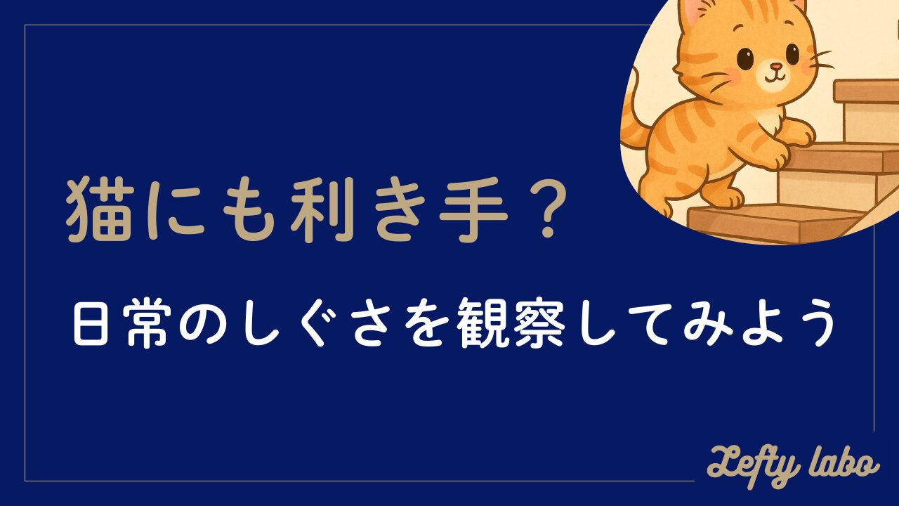 猫にも利き手がある？調べ方とオス・メス性格別傾向完全解説ガイド