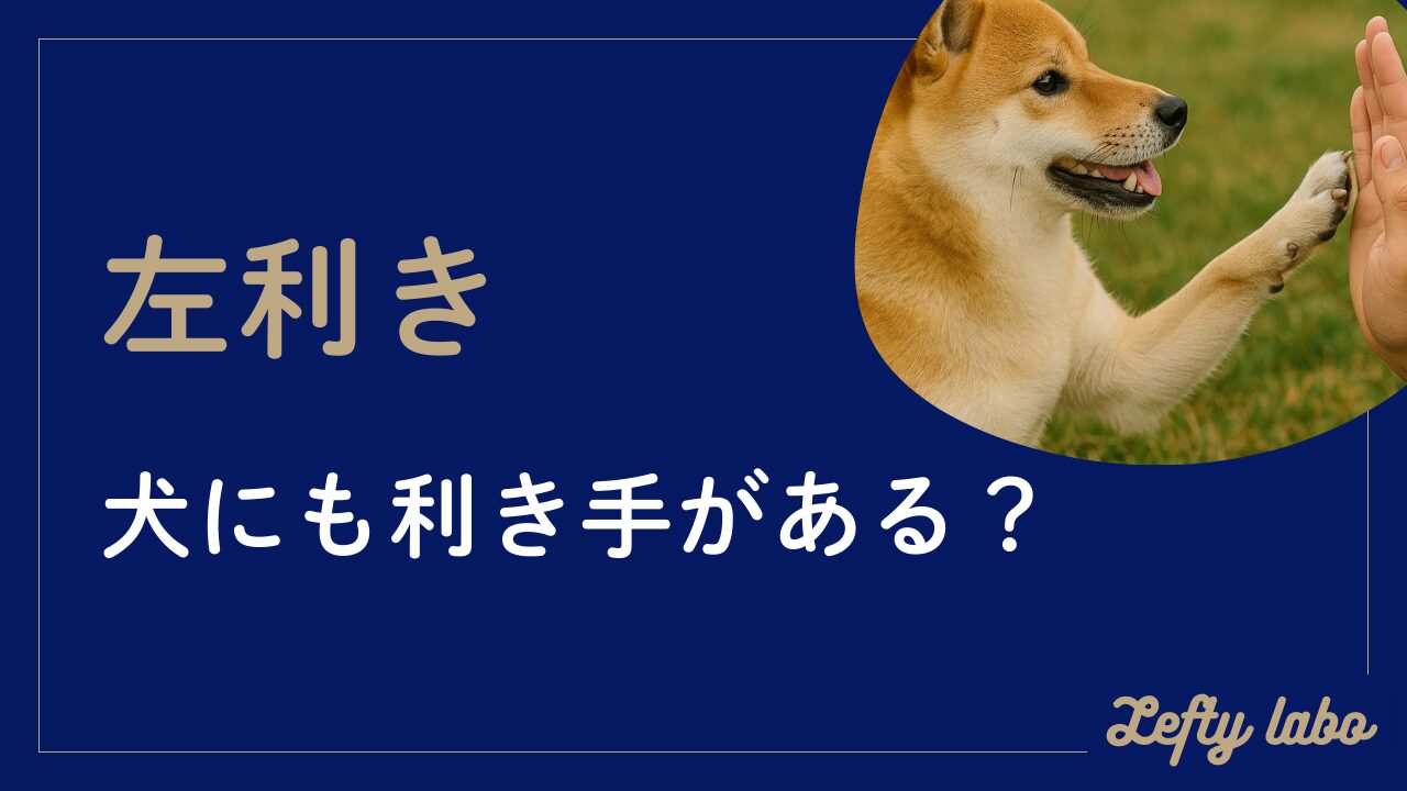 犬の利き手を調べる方法：利き手と性格の傾向を徹底解説する参考ガイド