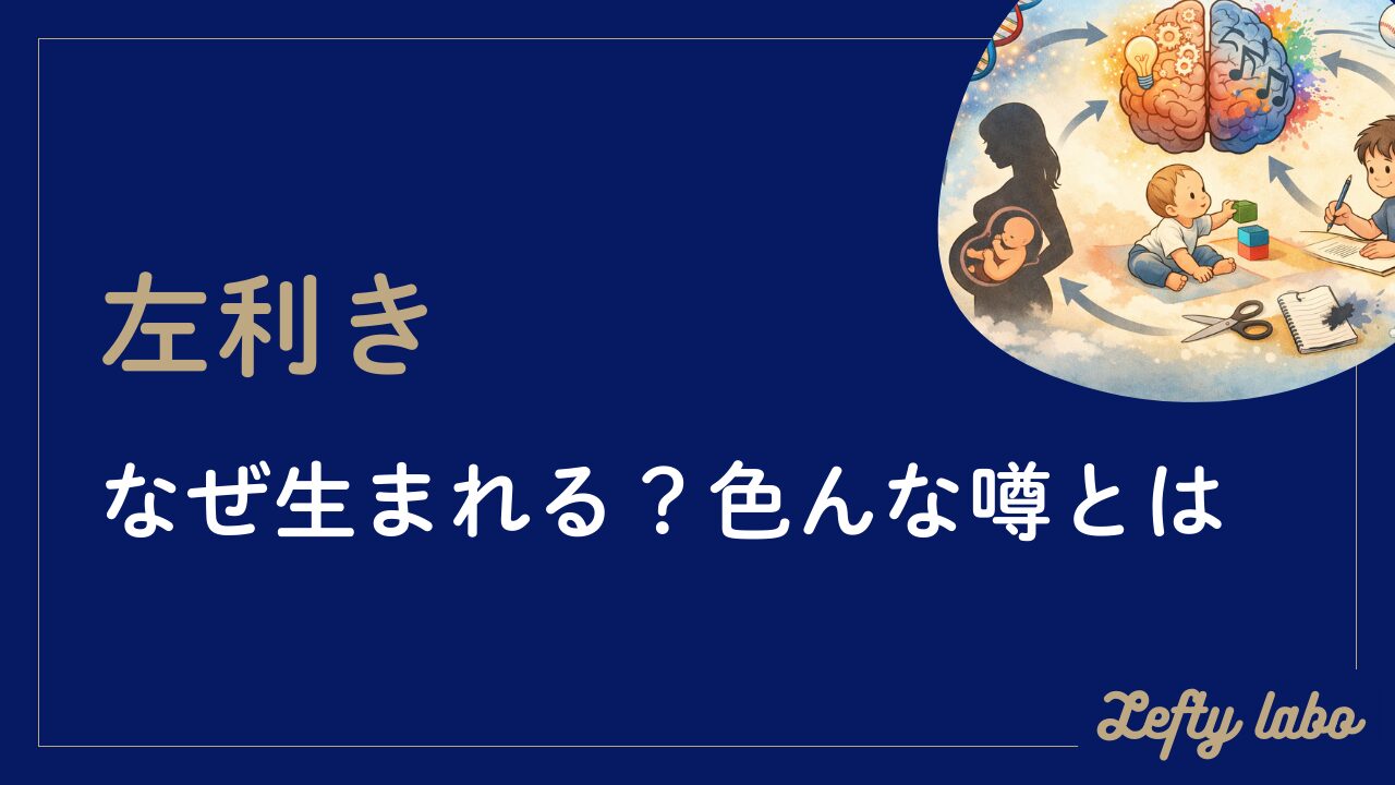 左利きはなぜ生まれる？胎内環境から進化説？色んな噂までまとめて理解